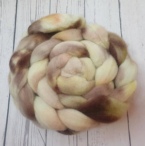 Hand Painted Roving Merino/Corriedale-Terry