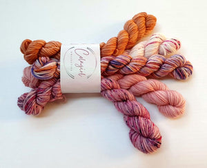 Ponytail Mini Skein Set 5x20g Swagman - #41