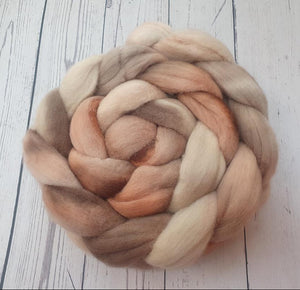 Hand Painted Roving Merino-Eden