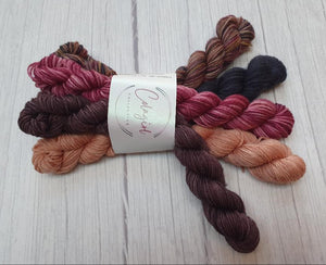 Ponytail Mini Skein Set 5x20g Swagman #54